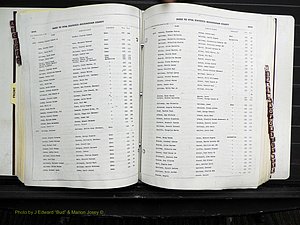 Rockingham Co, NC, Births, 1968-1981 (179).JPG