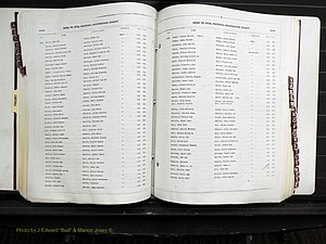 Rockingham Co, NC, Births, 1968-1981 (188).JPG