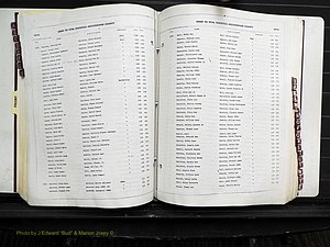 Rockingham Co, NC, Births, 1968-1981 (193).JPG