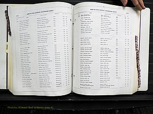 Rockingham Co, NC, Births, 1968-1981 (196).JPG