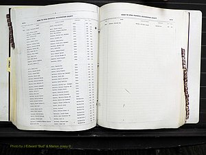 Rockingham Co, NC, Births, 1968-1981 (205).JPG