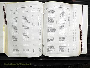 Rockingham Co, NC, Births, 1968-1981 (211).JPG