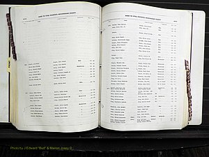 Rockingham Co, NC, Births, 1968-1981 (218).JPG