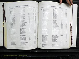 Rockingham Co, NC, Births, 1968-1981 (219).JPG