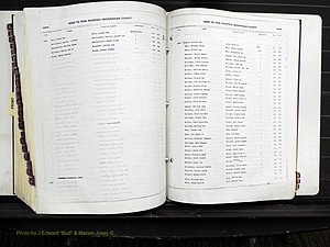 Rockingham Co, NC, Births, 1968-1981 (333).JPG