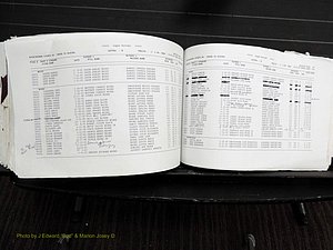 Rockingham Co, NC, Births, 1998-2007 (601).JPG