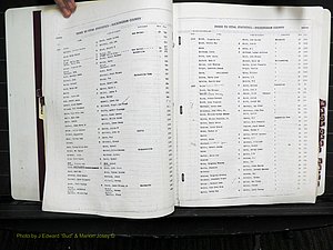 Rockingham Co, NC, Births, L-Z, 1929-1948 (123).JPG