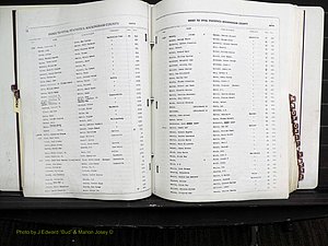 Rockingham Co, NC, Births, L-Z, 1929-1948 (132).JPG