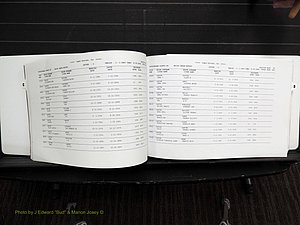 Rockingham Co, NC, Marriages, Female, C-D, 1867-2004 (147).JPG