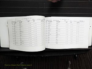 Rockingham Co, NC, Marriages, Female, C-D, 1867-2004 (151).JPG