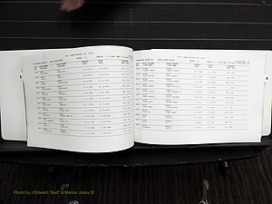 Rockingham Co, NC, Marriages, Female, C-D, 1867-2004 (154).JPG