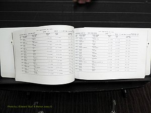 Rockingham Co, NC, Marriages, Female, C-D, 1867-2004 (159).JPG