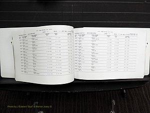 Rockingham Co, NC, Marriages, Female, C-D, 1867-2004 (161).JPG