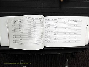Rockingham Co, NC, Marriages, Female, C-D, 1867-2004 (169).JPG