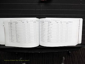 Rockingham Co, NC, Marriages, Female, C-D, 1867-2004 (174).JPG