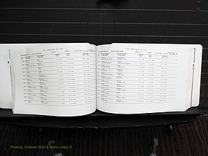 Rockingham Co, NC, Marriages, Female, C-D, 1867-2004 (180).JPG