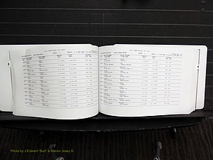 Rockingham Co, NC, Marriages, Female, C-D, 1867-2004 (184).JPG