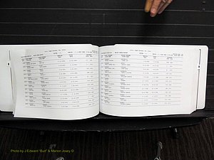 Rockingham Co, NC, Marriages, Female, C-D, 1867-2004 (189).JPG
