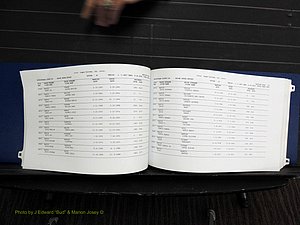 Rockingham Co, NC, Marriages, Male, M-N, 1867-2004 (146).JPG