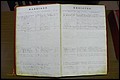 Rutherford Co, NC, Marriages 1871 - 1889 (10).JPG