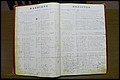 Rutherford Co, NC, Marriages 1871 - 1889 (13).JPG