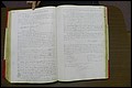 Rutherforf Co, NC, Will Book G (245).JPG