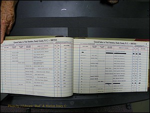 Stanley Co, NC Births, H2, 1972-1994 (20).JPG