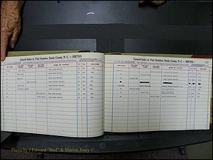 Stanley Co, NC Births, H2, 1972-1994 (22).JPG