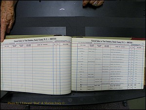 Stanley Co, NC Births, H2, 1972-1994 (26).JPG
