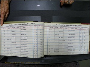 Stanley Co, NC Births, H2, 1972-1994 (30).JPG