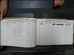 Stanley Co, NC Births, H2, 1972-1994 (32).JPG