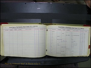 Stanley Co, NC Births, I-K, 1913-1994 (38).JPG