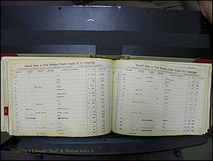 Stanley Co, NC Births, I-K, 1913-1994 (84).JPG