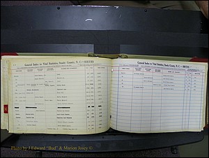 Stanley Co, NC Births, I-K, 1913-1994 (94).JPG