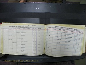 Stanley Co, NC Births, L, 1913-1994 (115).JPG