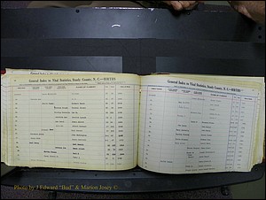 Stanley Co, NC Births, L, 1913-1994 (117).JPG