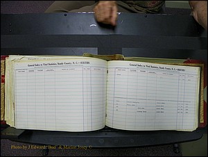 Stanley Co, NC Births, T-V, 1913-1994 (170).JPG