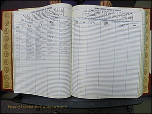 Stanley Co, NC Marriages, Female Index, A-Z, 1979-1994 (45).JPG