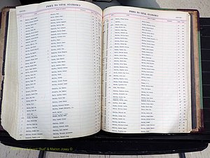 Stokes Co, NC, Births, A-Z, 1940-1988 (316).JPG