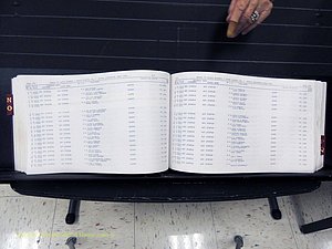 Surry Co, NC, Births, N-Q, 1913-1998 (228).JPG