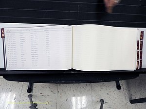 Surry Co, NC, Marriages, Female Index, A-Z, Beginning-1899 (116).JPG