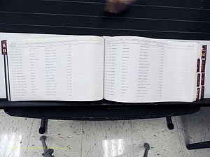 Surry Co, NC, Marriages, Female Index, A-Z, Beginning-1899 (118).JPG