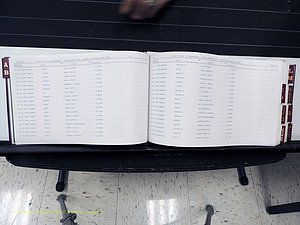 Surry Co, NC, Marriages, Female Index, A-Z, Beginning-1899 (119).JPG