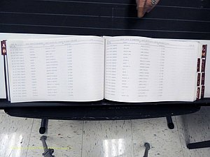 Surry Co, NC, Marriages, Female Index, A-Z, Beginning-1899 (131).JPG