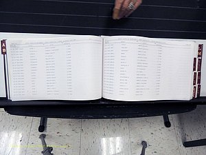 Surry Co, NC, Marriages, Female Index, A-Z, Beginning-1899 (132).JPG