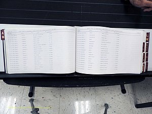 Surry Co, NC, Marriages, Female Index, A-Z, Beginning-1899 (133).JPG