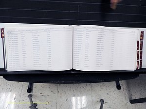 Surry Co, NC, Marriages, Female Index, A-Z, Beginning-1899 (134).JPG