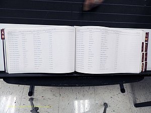 Surry Co, NC, Marriages, Female Index, A-Z, Beginning-1899 (136).JPG