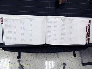 Surry Co, NC, Marriages, Female Index, A-Z, Beginning-1899 (137).JPG