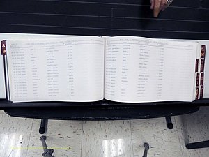 Surry Co, NC, Marriages, Female Index, A-Z, Beginning-1899 (142).JPG